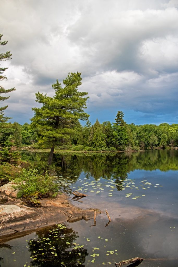 nogies creek ontario