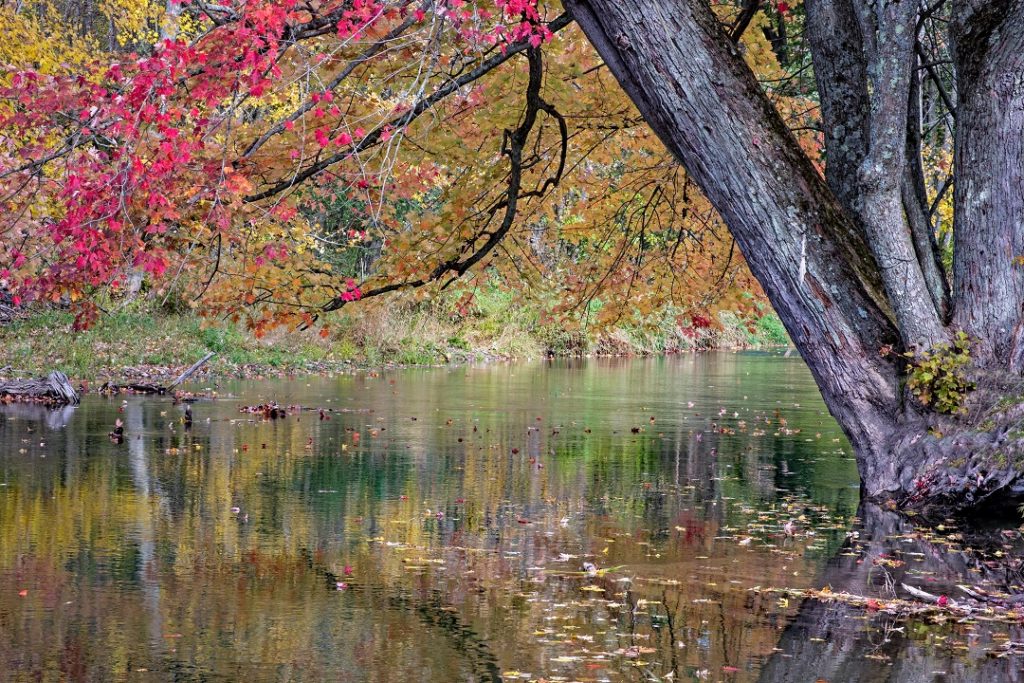 beaver river canoe route