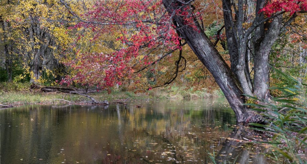 beaver river canoe route
