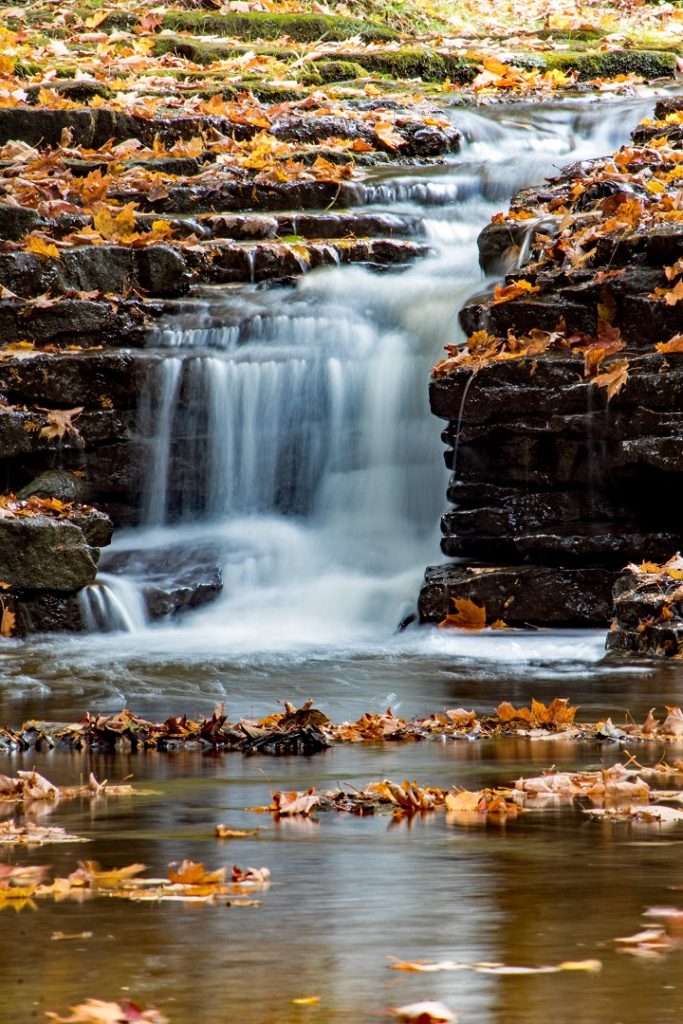 jones falls pottawatomi conservation area owen sound ontario