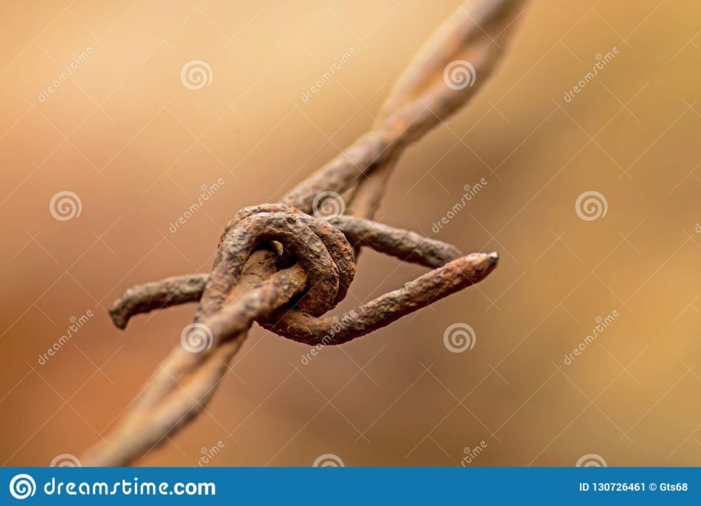 barbed wire close up