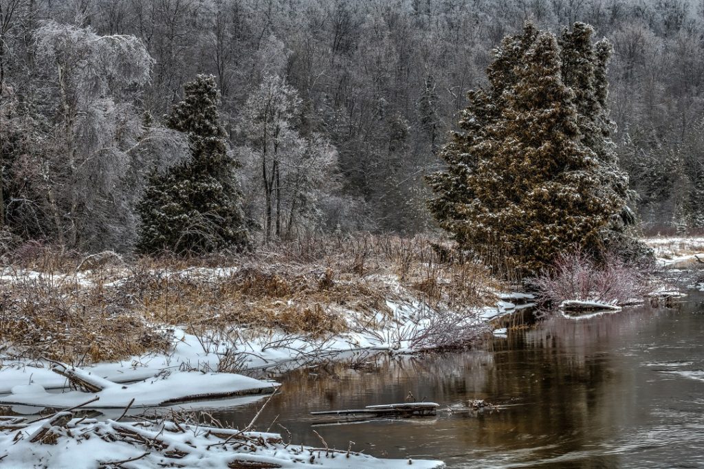 Photography After An Ice Storm At Pine River Provincial Fishing Area
