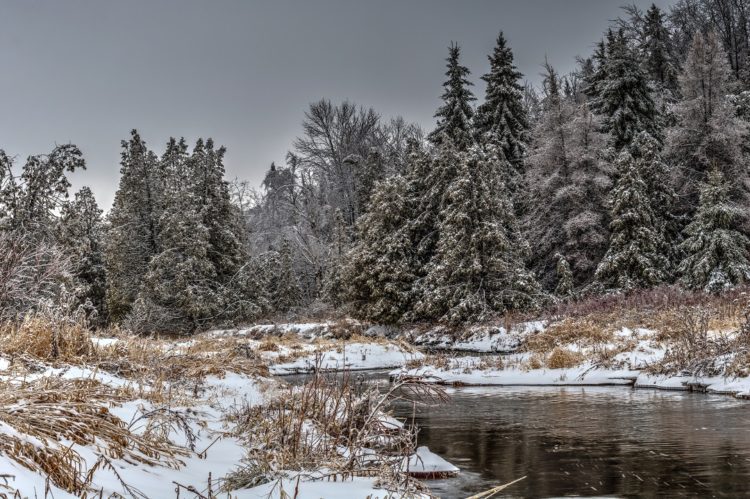 pine river provincial fishing area ice storm winter photo