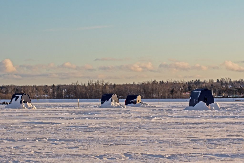 island lake conservation area orangeville ontario winter