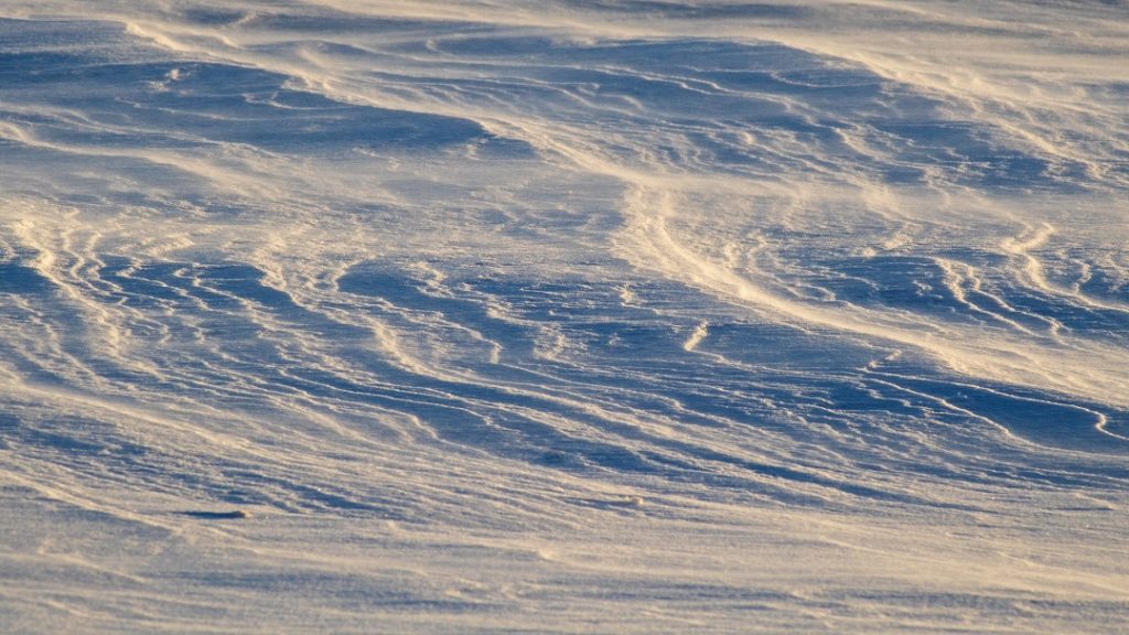 island lake conservation area orangeville ontario winter