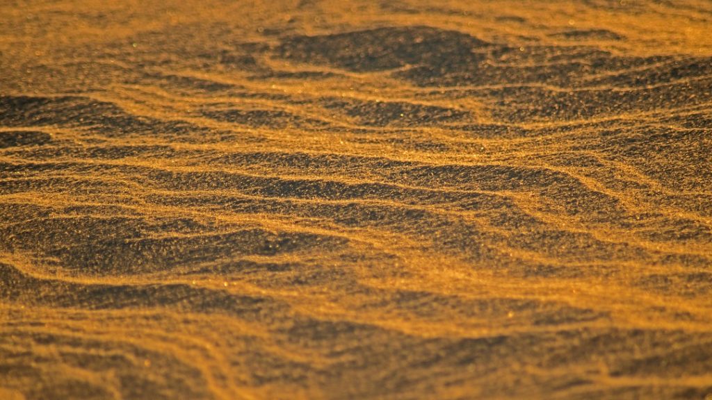 island lake conservation area orangeville ontario winter