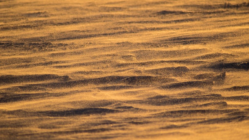 island lake conservation area orangeville ontario winter