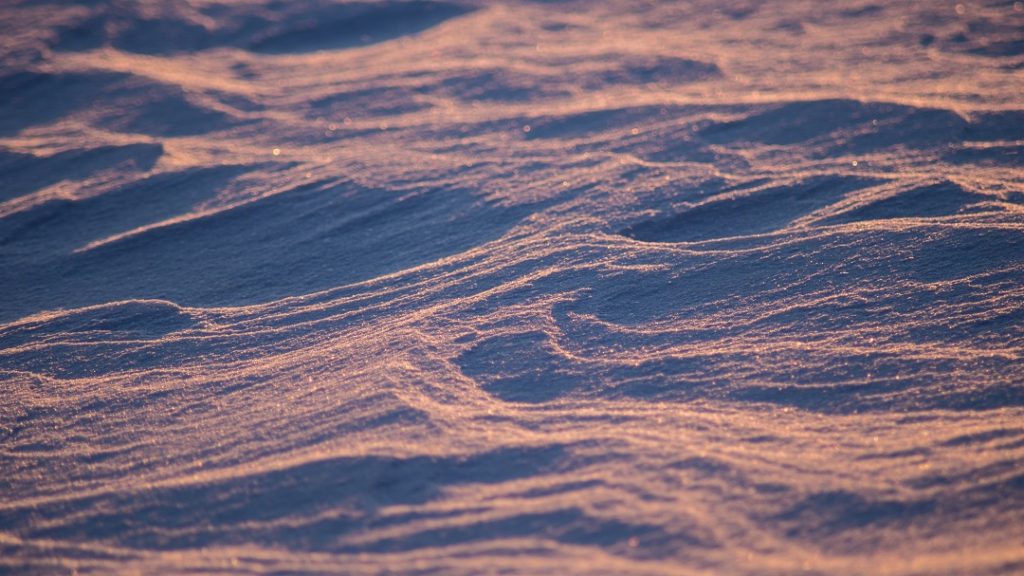 island lake conservation area orangeville ontario winter