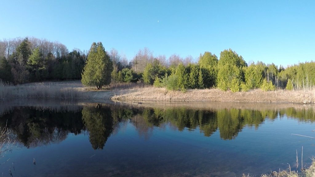 snell pond at hockley valley provincial nature reserve