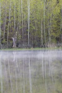 forks of the credit kettle lake