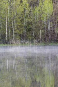 forks of the credit kettle lake