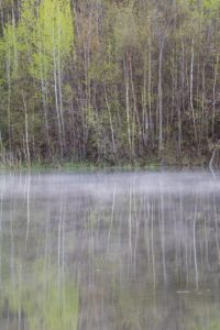 forks of the credit kettle lake