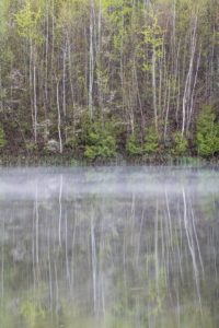 forks of the credit kettle lake