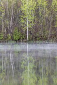 forks of the credit kettle lake