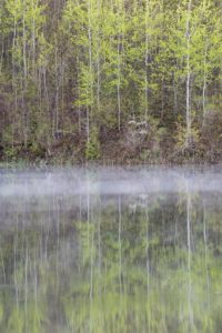 forks of the credit kettle lake