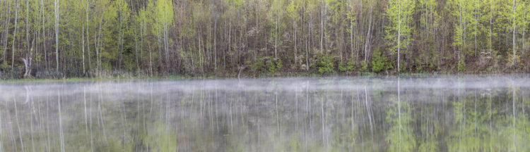 forks of the credit panorama