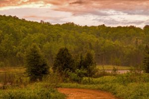 sunrise at pine river provincial fishing area