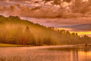 sunrise at pine river provincial fishing area