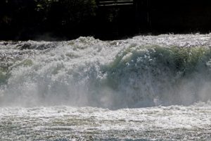 fenelon falls, ontario