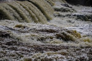 mcgowan falls saugeen river durham ontario