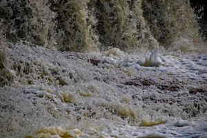 mcgowan falls saugeen river durham ontario
