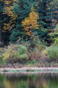 monora park fall colours