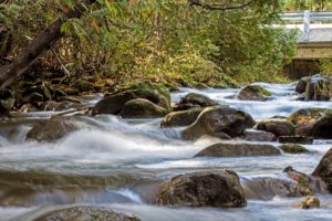 pine river bruce trail