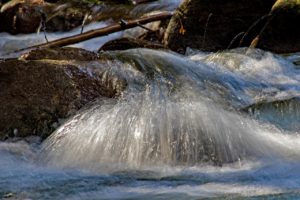 pine river bruce trail