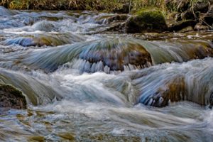 pine river bruce trail
