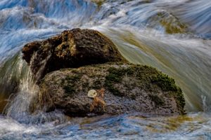 pine river bruce trail