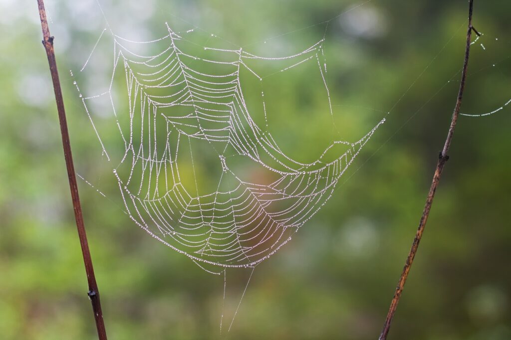 kawartha higlands provincial park signature site trail