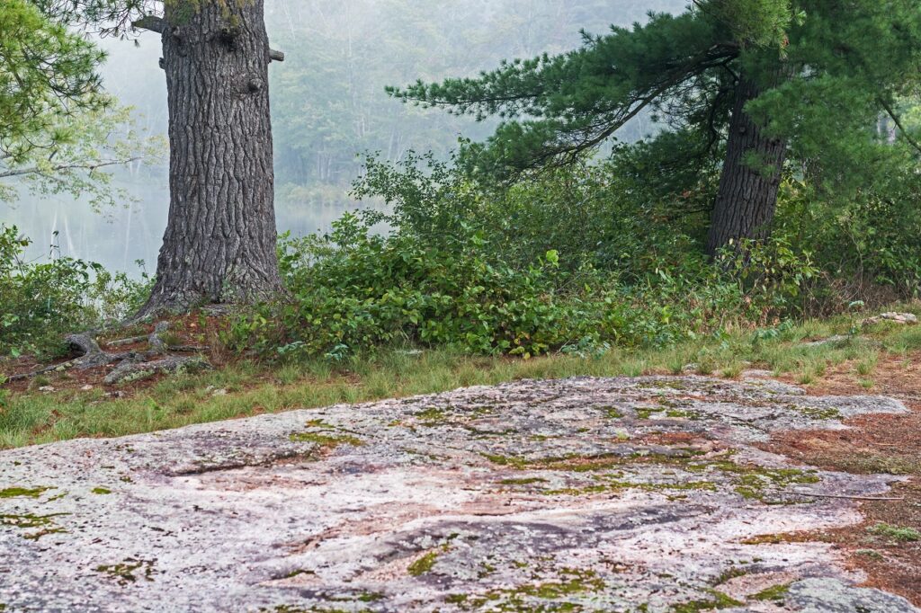 kawartha higlands provincial park signature site trail