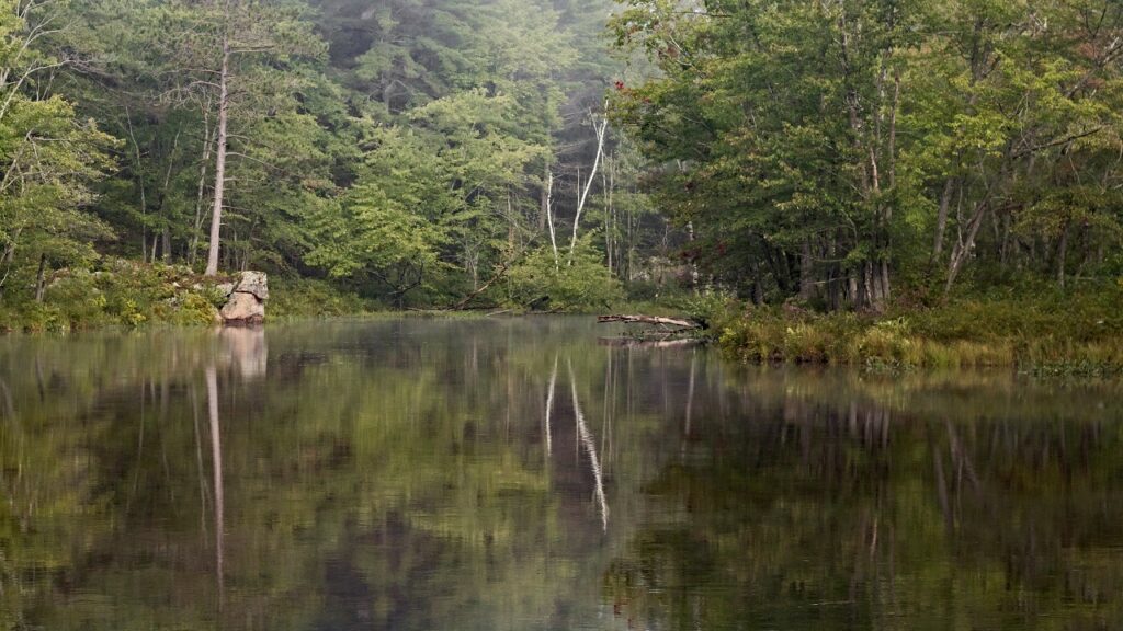 kawartha higlands provincial park signature site trail
