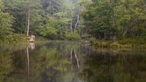 kawartha higlands provincial park signature site trail