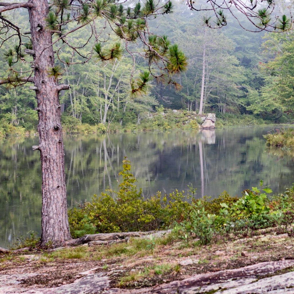 kawartha higlands provincial park signature site trail